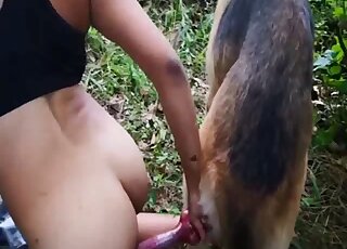 Sexy horny beast fucks in the doggy style pose