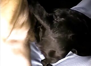 Dog pussy gape featuring a horny dude - ３D獣姦ポルノ