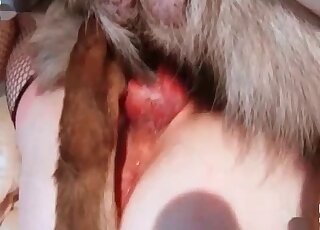 Close-up penetration with a nasty dog - ３D獣姦ポルノ