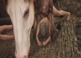 Zoo XXX with a bunch of bitches, hard dicks