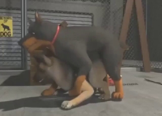 Zoophile porn with a bunch of sexy dogs fucking