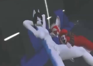 Zoo porn, furry style: fox and Husky fucking