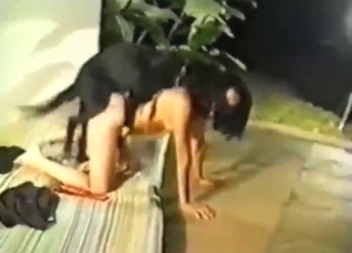 امرأة سمراء ذات شعر قصير تمارس الجنس مع وحش مثير في الخارج