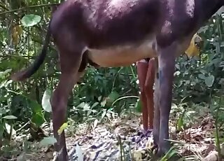 Gorgeous outdoor oral sex with a sweetie