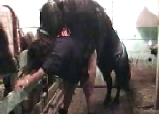 Tiny pony fucks some zoophilic bitch