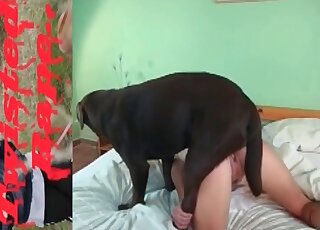 Dog gets to bang a really nice-looking lady